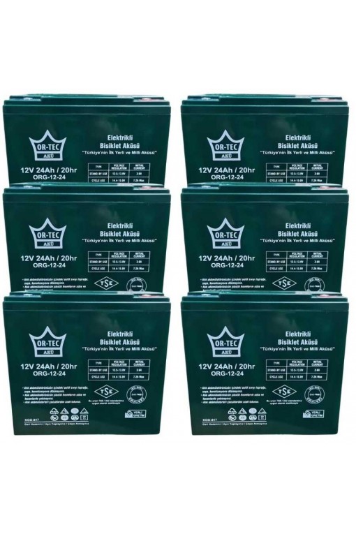 12V 24AH Elektrikli Motosiklet Aküsü 6' lı Set