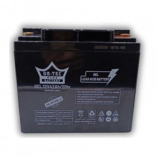 Ortec 12V 42 AH Engelli Araba Aküsü