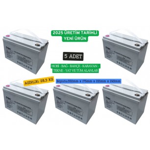 Ttec 12 Volt 100 Amper Jel Akü 5 adet Toptan Satış